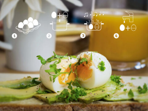 Brainstream: Innovatieve Producten met een Knipoog en Duurzaam Hart