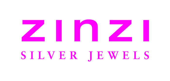 logo ZINZI