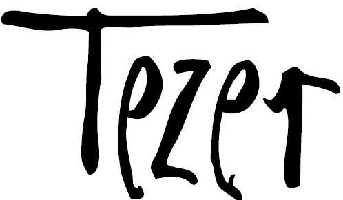 logo Tezer GmbH
